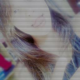 , ∿ ㅤ↓    , nada a dize    :3