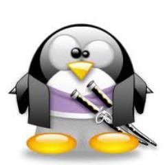 petitbob6259's profile picture. Anarchiste chrétien 
 Vanité des vanités. Tout est vanité
   #Ellul #Linux #Debian #Slackware #Aïki Jutsu