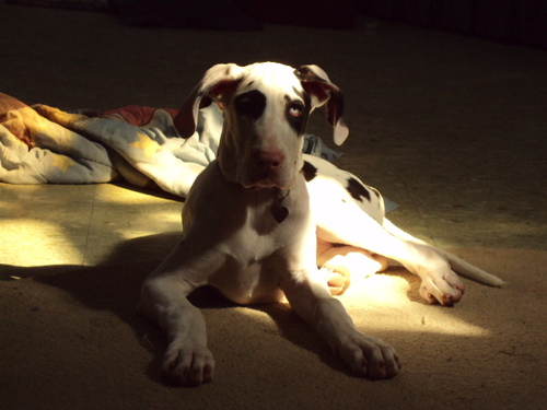 FreezeQueen's profile picture. feel free to call me with any questions 870-776-6466