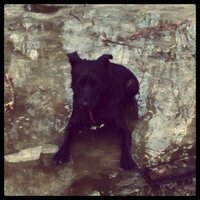 jon (@jonburstow) 's Twitter Profile