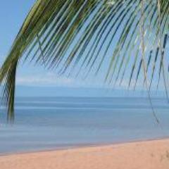 Take a break on Lake Tanganyika. An affordable escape and space to enjoy nature. Visit the chimps in Gombe. Snorkel for Cichlids. Or take a safari into Katavi.