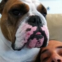 Rob Carroll (@rmc_3) Twitter profile photo