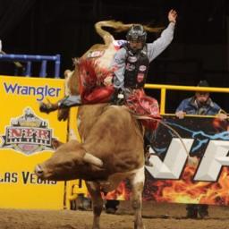 Bull Riding