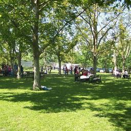 papatya3000's profile picture. 