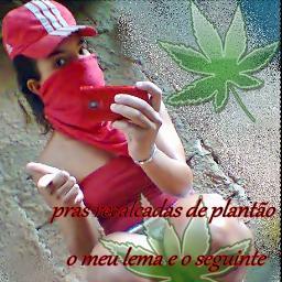 ( OLHO GRANDE E INVEJA SÓ VEM ME FORTALECER ) { $$}NA BOCA DOS ZE POVINHO MEU NOME É O MAIS COGITADO FAZE O QUE SE EU SOU ASSIM TIPO MINA INVEJADA . { $$}