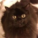 Cash Brown - @CashBrown4 - Twitter