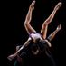 Danse la Danse (@danseladanse) Twitter profile photo