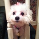 Sadie Riggs - @SadieMeister - Twitter