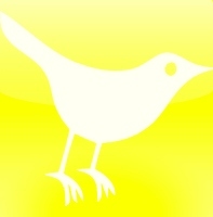 TweetCheese's profile picture. 