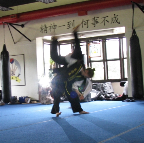 AlinaColeX's profile picture. Mom, martial artist, wastewater engineer.