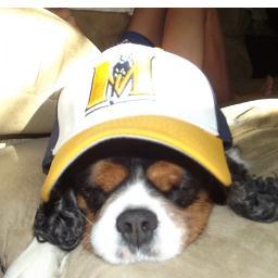 cbecker71's profile picture. sports