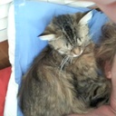 james labbe - @jdlabbe49 - Twitter