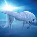 Lili Chavez  - @LiliChavez19 - Twitter