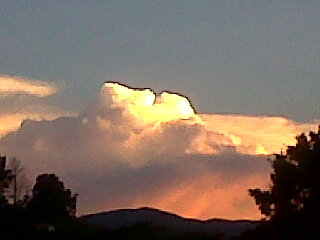 niumar_guerrero's profile picture. Luchar por una Venezuela Libre 🇻🇪🆖‼️