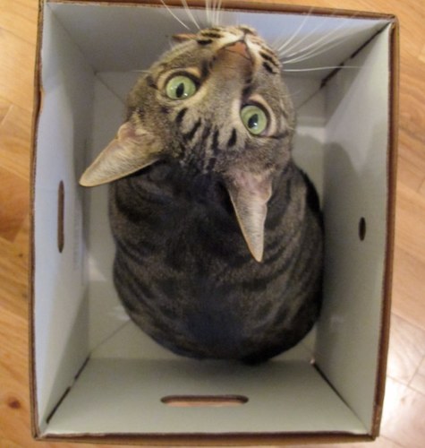 andywill2010's profile picture. 