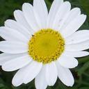 Edna Estrada - @eestrada90 - Twitter