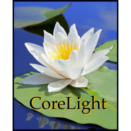 Corelight is an international non-profit organization dedicated to the awakening of the global heart.