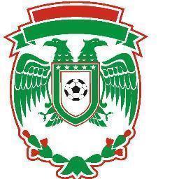 Escuela De Futbol Los Gigantes F.c.