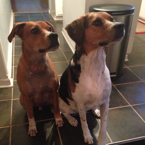 gophernation1's profile picture. 