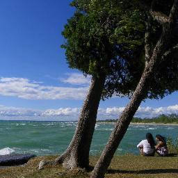 Oshin__M's profile picture. 