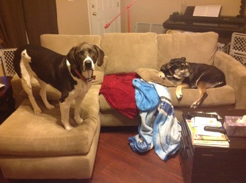 nubs17's profile picture. 