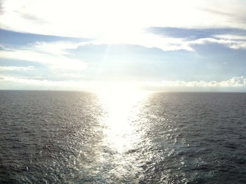 cjcmnyc's profile picture. 