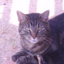 Maureen Major - @MoMajor - Twitter