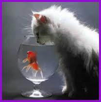 K_olha's profile picture. 