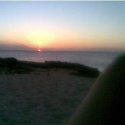 romanomonii's profile picture. 