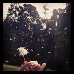 disafa22's profile picture. http://t.co/XIeMDw7N7h