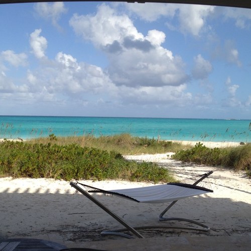 rpattonii's profile picture. 