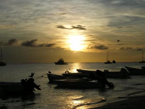 MAROCAMAJA's profile picture. 