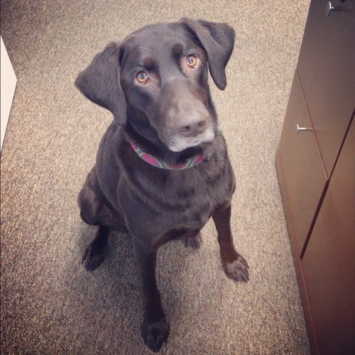 theanchoredhome's profile picture. 