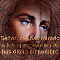 marlene (@marlene1608) 's Twitter Profile