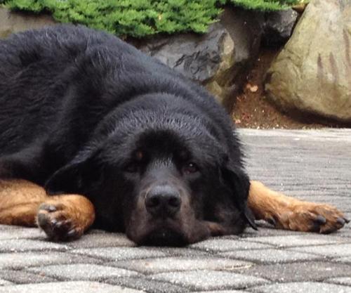 BBKristina21's profile picture. ‘To succeed in life, you just need a backbone and a funny bone.’ 😉#bekind #commonsense  #laugh #wine #nevergiveup 🥂