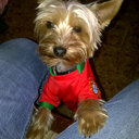 renato gomez - @renatogz - Twitter