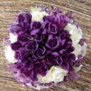 PIST OFF - @NikkiPenn2 - Twitter