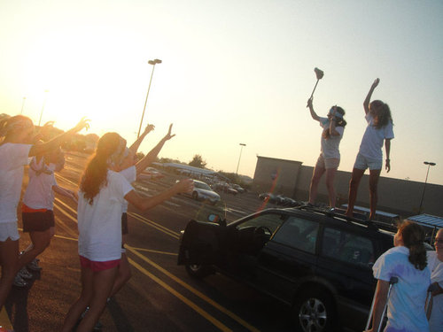 magsXCstallions's profile picture. This Twitter page is dedicated to the members of the Mags XC family! #gostallion