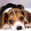 Evie Hunt - @EvieHunt - Twitter