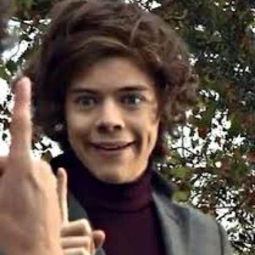 Directionr4evs's profile picture. One Direction is life. this acc is co-owned byndjn