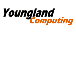 iYoungland's profile picture. With @Microsoft #Dynamics GP NAV CRM, we dedicate to continuously #innovate #ERP #SCM #CRM, challenge the status quo and drive your business growth!