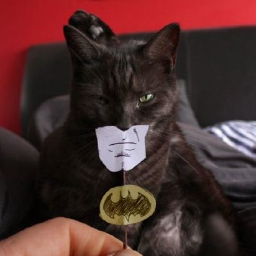 Zelnox's profile picture. I can has: insane, food, web, cats, sustainability, video games, hockey, music.