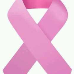 berthaaliciabec's profile picture. 