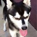 Mary Depp - @MarFanStars - Twitter