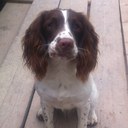 kathy joyce - @kathyjoyce15 - Twitter