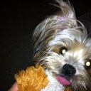 Lori Talbert - @LoriTalbert - Twitter