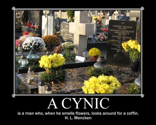 cyn·i·cal: distrusting or disparaging the motives of others. Showing contempt for accepted standards of honesty or morality by one's actions.