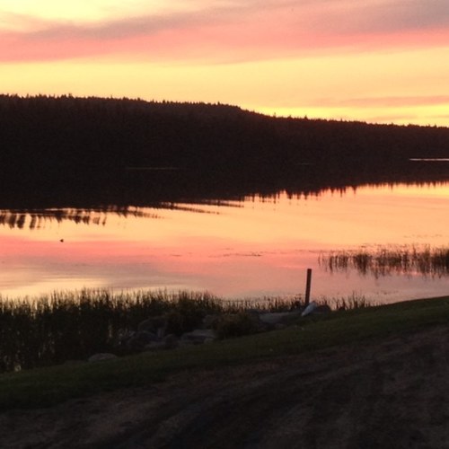 gemas64's profile picture. 