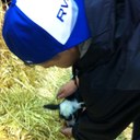 morgan bott - @BottMorgan - Twitter