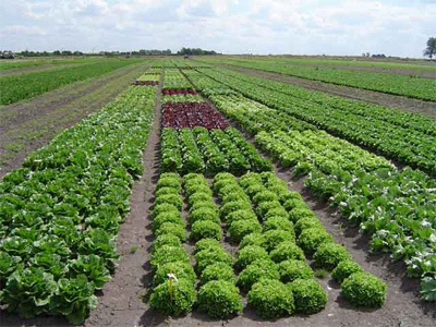 Bienvenidos a la Comunidad del Grupo Paraninfo para los apasionados por la Agricultura y la Ganadería. Últimas noticias del sector. Comparte, crea y participa.